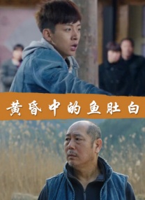 天天操穴