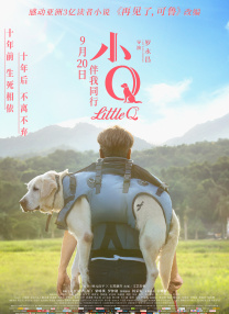 老师是我的情人