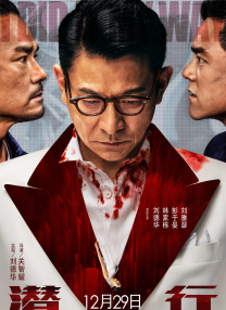 好看华人华人经典play