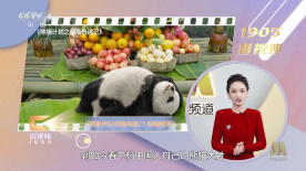 狠狠鲁狠狠操