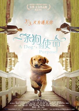 欧美日韩高清