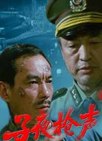 国产夜色视频